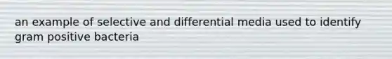 an example of selective and differential media used to identify gram positive bacteria