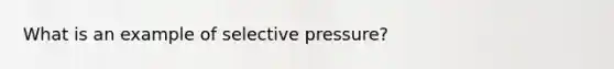 What is an example of selective pressure?