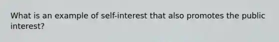 What is an example of self-interest that also promotes the public interest?