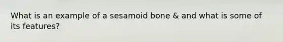 What is an example of a sesamoid bone & and what is some of its features?