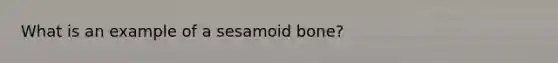 What is an example of a sesamoid bone?