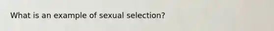 What is an example of sexual selection?