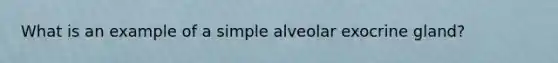 What is an example of a simple alveolar exocrine gland?