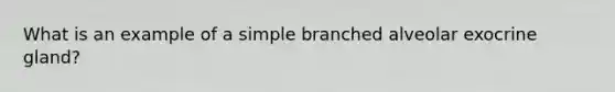 What is an example of a simple branched alveolar exocrine gland?