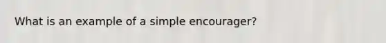 What is an example of a simple encourager?