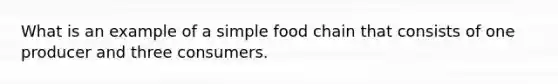 What is an example of a simple food chain that consists of one producer and three consumers.