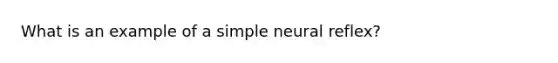 What is an example of a simple neural reflex?