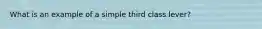 What is an example of a simple third class lever?