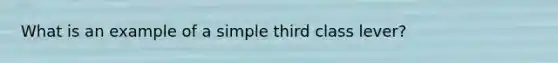 What is an example of a simple third class lever?