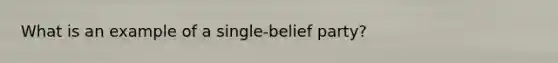 What is an example of a single-belief party?