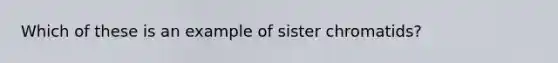 Which of these is an example of sister chromatids?