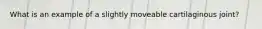 What is an example of a slightly moveable cartilaginous joint?