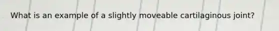 What is an example of a slightly moveable cartilaginous joint?