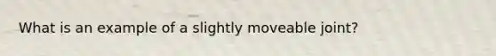 What is an example of a slightly moveable joint?