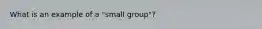 What is an example of a "small group"?