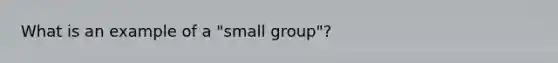 What is an example of a "small group"?