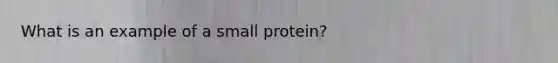 What is an example of a small protein?