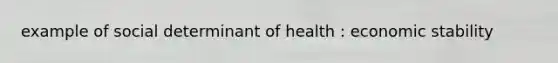 example of social determinant of health : economic stability