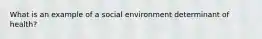 What is an example of a social environment determinant of health?