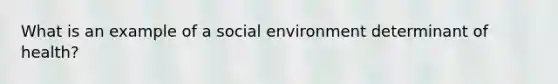 What is an example of a social environment determinant of health?