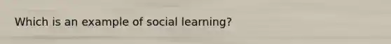 Which is an example of social learning?