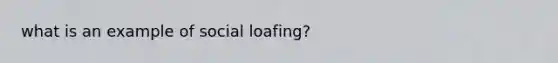 what is an example of social loafing?