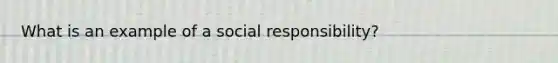 What is an example of a social responsibility?