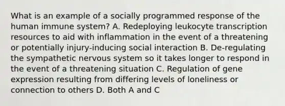 What is an example of a socially programmed response of the human immune system? A. Redeploying leukocyte transcription resources to aid with inflammation in the event of a threatening or potentially injury-inducing social interaction B. De-regulating the sympathetic nervous system so it takes longer to respond in the event of a threatening situation C. Regulation of gene expression resulting from differing levels of loneliness or connection to others D. Both A and C