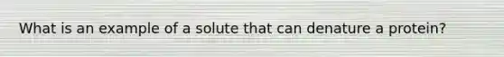 What is an example of a solute that can denature a protein?