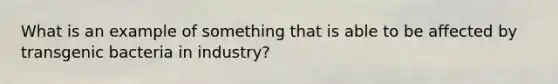 What is an example of something that is able to be affected by transgenic bacteria in industry?