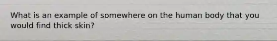 What is an example of somewhere on the human body that you would find thick skin?