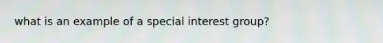 what is an example of a special interest group?