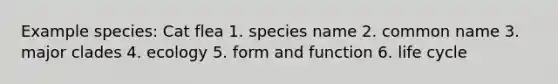 Example species: Cat flea 1. species name 2. common name 3. major clades 4. ecology 5. form and function 6. life cycle