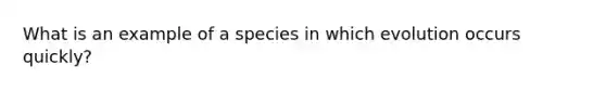 What is an example of a species in which evolution occurs quickly?