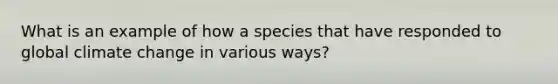 What is an example of how a species that have responded to global climate change in various ways?