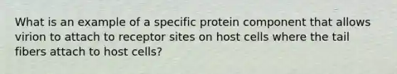 What is an example of a specific protein component that allows virion to attach to receptor sites on host cells where the tail fibers attach to host cells?