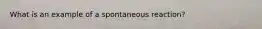 What is an example of a spontaneous reaction?
