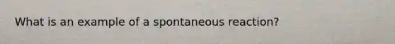 What is an example of a spontaneous reaction?