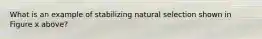 What is an example of stabilizing natural selection shown in Figure x above?