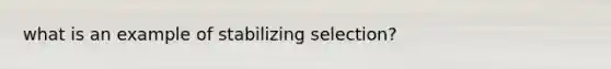 what is an example of stabilizing selection?