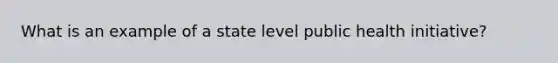 What is an example of a state level public health initiative?