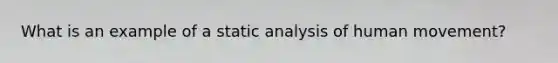 What is an example of a static analysis of human movement?