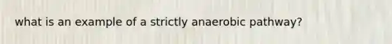 what is an example of a strictly anaerobic pathway?