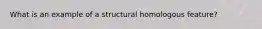 What is an example of a structural homologous feature?