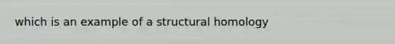 which is an example of a structural homology