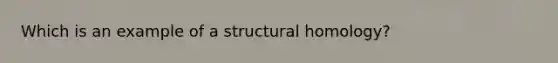 Which is an example of a structural homology?