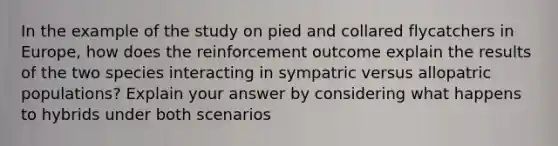 In the example of the study on pied and collared flycatchers in Europe, how does the reinforcement outcome explain the results of the two species interacting in sympatric versus allopatric populations? Explain your answer by considering what happens to hybrids under both scenarios