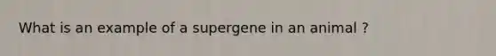 What is an example of a supergene in an animal ?