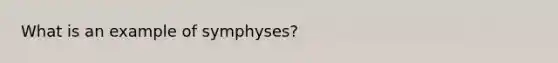 What is an example of symphyses?