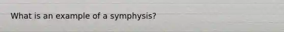 What is an example of a symphysis?